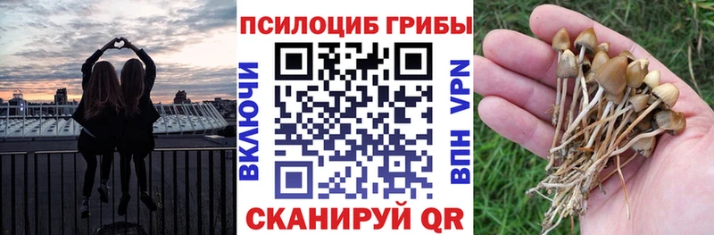 как найти наркотики  Гуково  Галлюциногенные грибы мицелий 